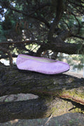 Violet Embroidered shoes