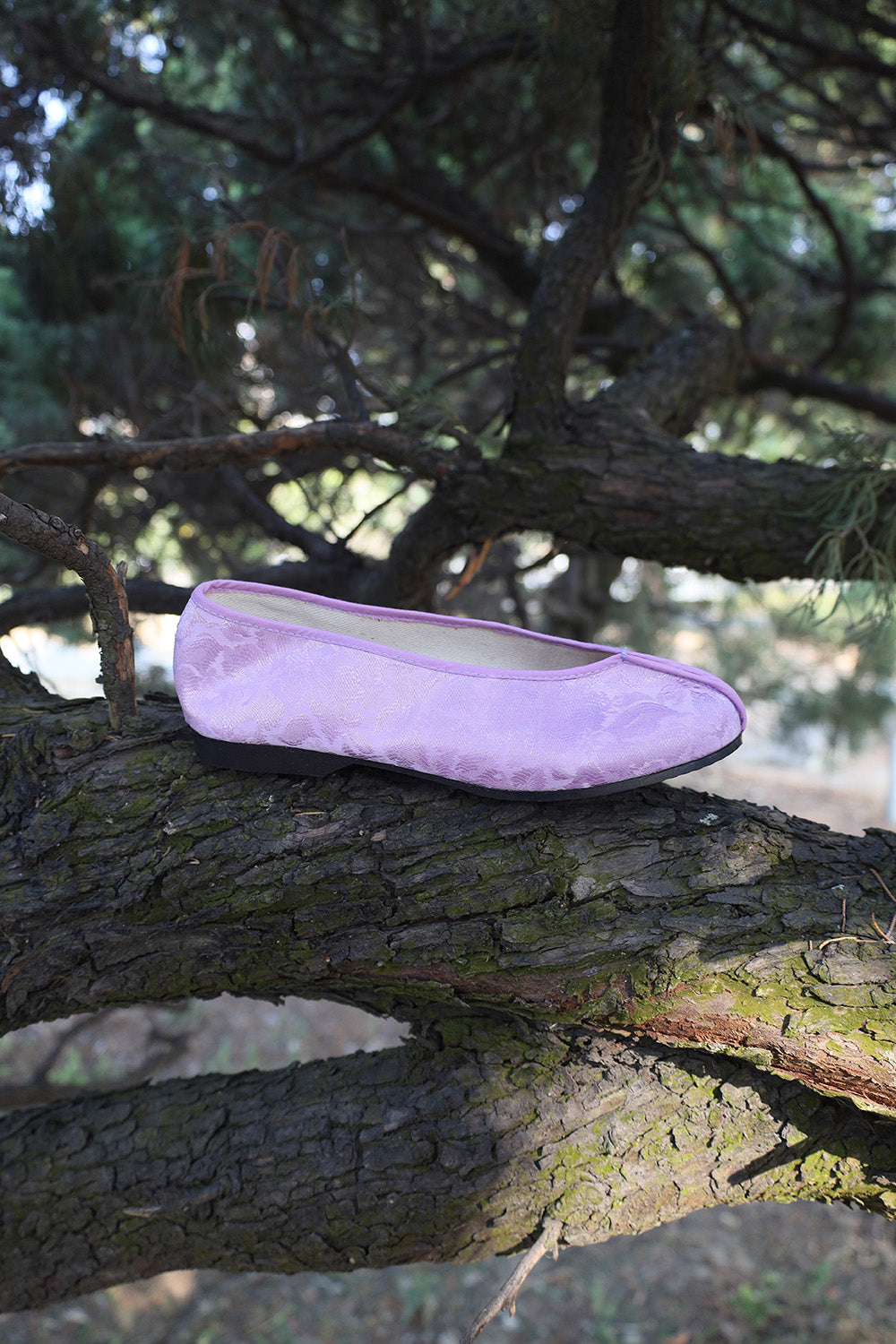 Violet Embroidered shoes